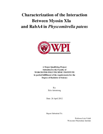 Characterization of the Interaction Between Myosin XIa and RabA4 in Physcomitrella patens thumbnail