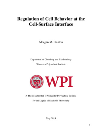 Regulation of Cell Behavior at the Cell-Surface Interface thumbnail