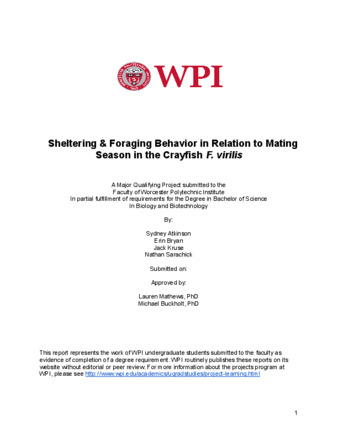 Sheltering & Foraging Behavior in Relation to Mating Season in the Crayfish F. virilis thumbnail