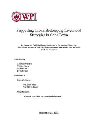Supporting Urban Beekeeping Livelihood Strategies in Cape Town thumbnail