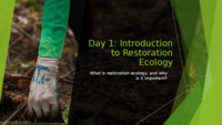 Topics in Restoration Ecology: Restoring the Red Wolves in North Carolina thumbnail