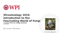 Shroomology 1010- Introduction to the Fascinating World of Fungi la vignette
