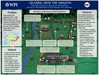 Grazing Away the Amazon la vignette