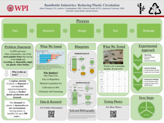 Bambottle Industries: Reducing Plastic Circulation thumbnail