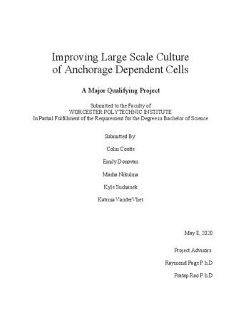 Improving Large Scale Culture for Anchorage Dependent Cells thumbnail